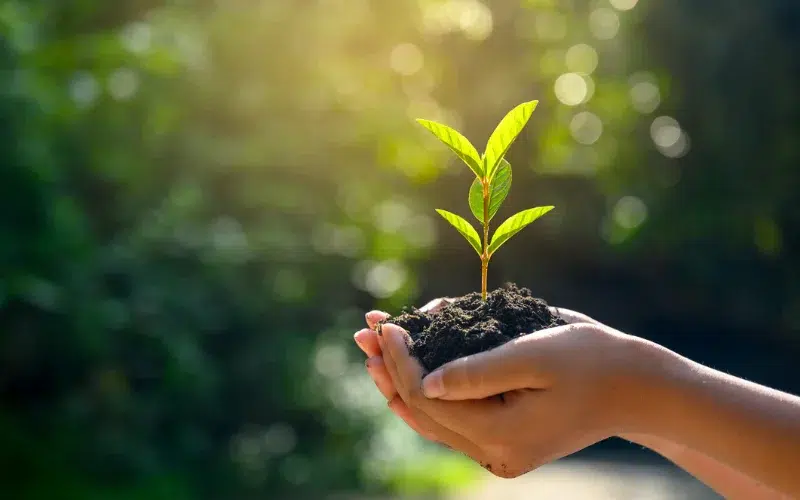 Environmental Stewardship