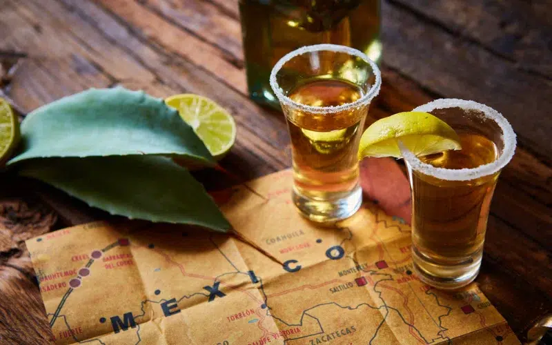 Tequila Varieties: A Spectrum of Flavors