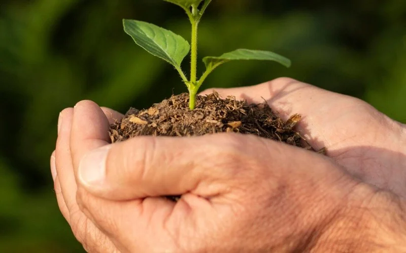 Environmental Initiatives