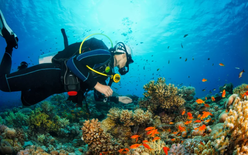 Safety in Scuba Diving and Water Sports in Cozumel