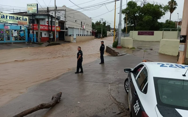 Dealing with Emergencies in Nogales