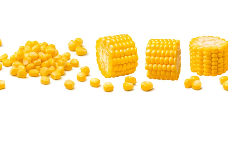 Corn - The Backbone of Mexican Cuisine