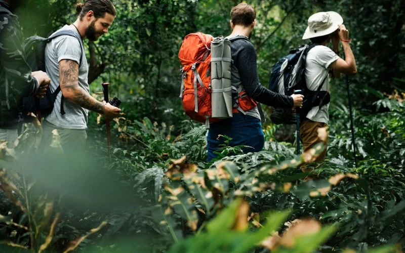 Sustainable Travel