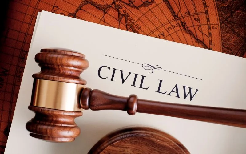 Role of Civil Society and NGOs