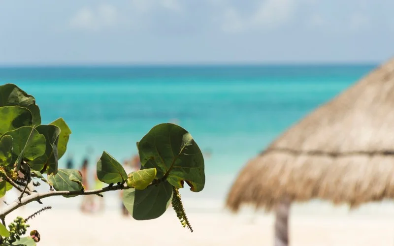 Beaches of Tulum