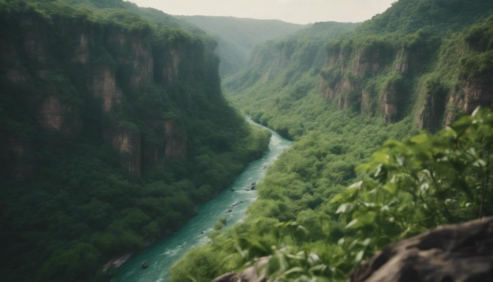environmental protection and preservation