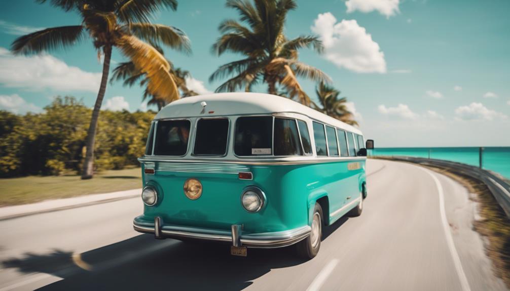 travel options for tourists