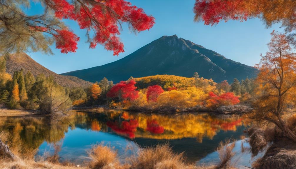 optimal seasons for travel