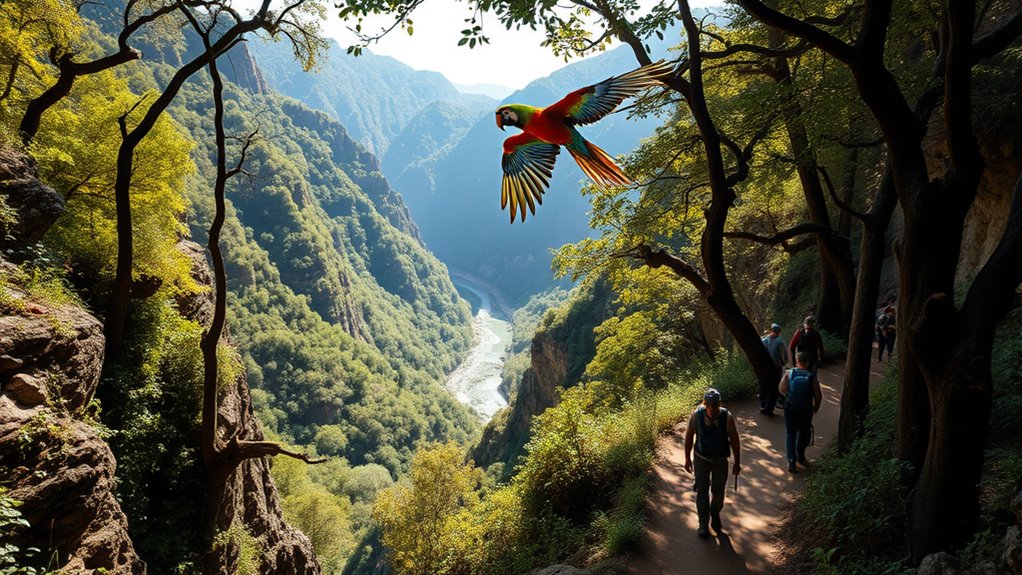 nature exploration and activities